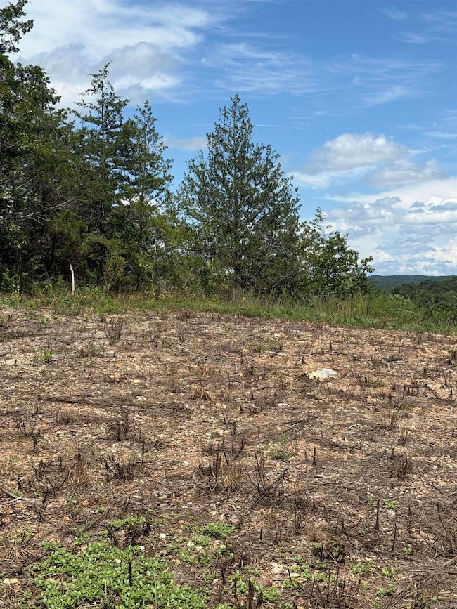 12952 Highway 5, Norfork, AR 72658 - photo 2