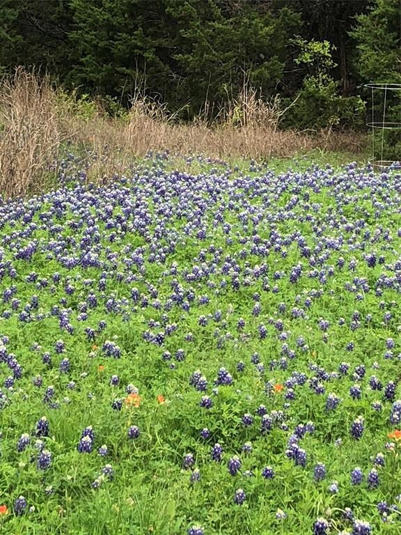 36008 Cedar View Dr, Whitney, TX 76692 - photo 5