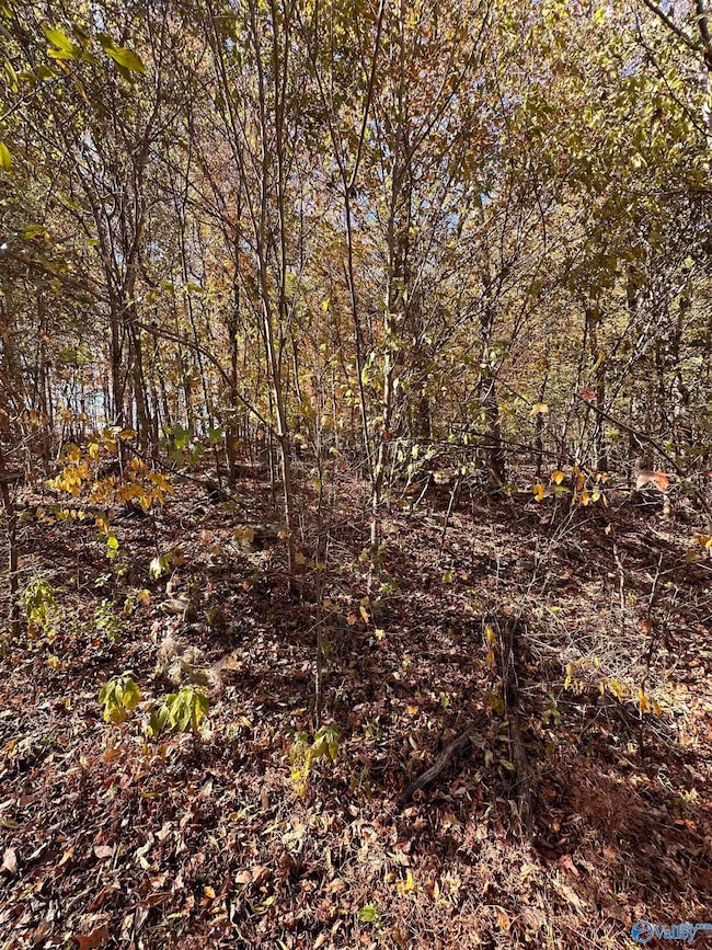 4622 Legacy Preserve Way SE, Brownsboro, AL 35741 - photo 2