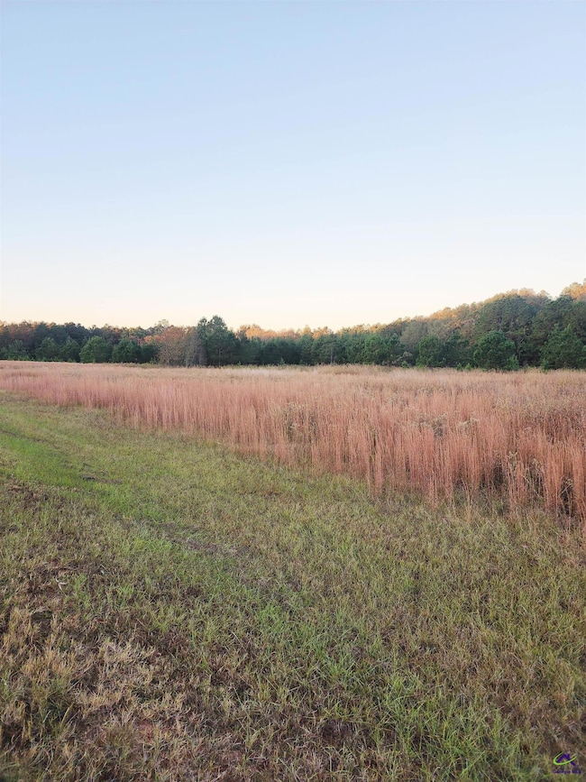 TRACT C-1A LL 2 Kersey Rd, Elko, GA 31025 - photo 4