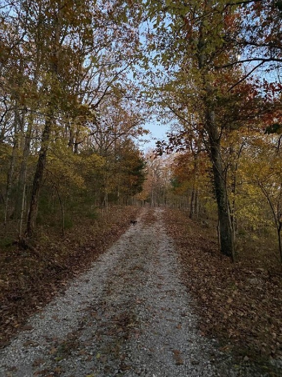 10862 S Harris Rd, Fayetteville, AR 72701 - photo 3