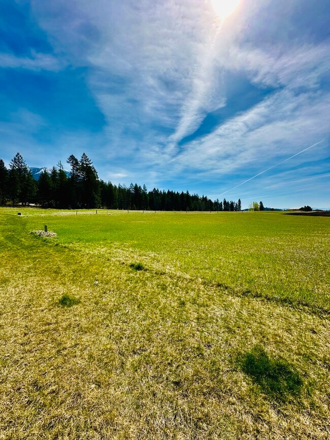 168 Wood Ridge Dr, Columbia Falls, MT 59912 - photo 4