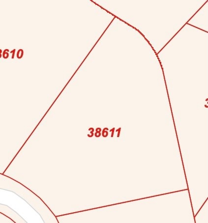 TBD Wood Forest Ln, Huntsville, TX 77340 - photo 3