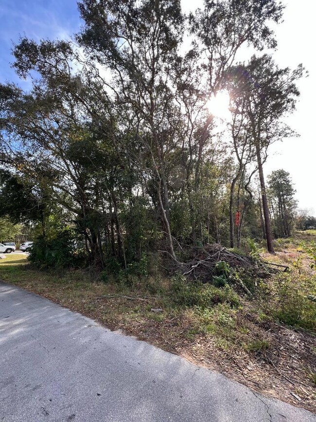 0 Bahia Terrace unit MFRS5139041, Ocala, FL 34472 - photo 2