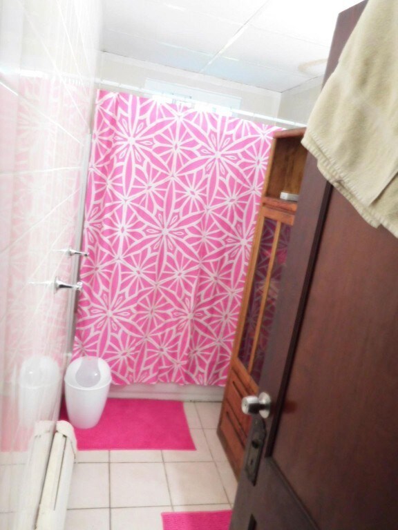 54 Lithgow St unit 1, Dorchester Center, MA 02124 - photo 4