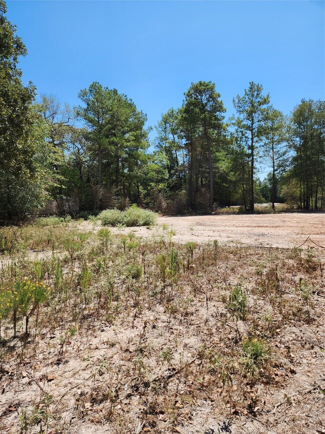 26425 Joseph Rd, Hockley, TX 77447 - photo 4