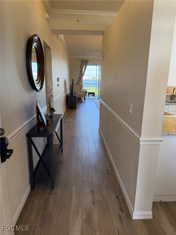 Corridor featuring dark wood-type flooring and ornamental molding