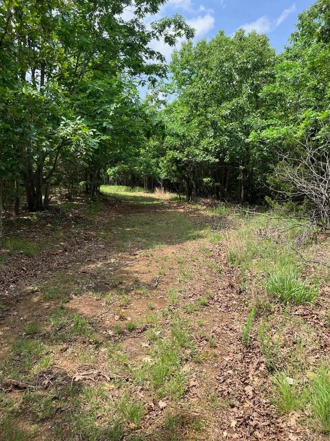 Driveway into Tract 4