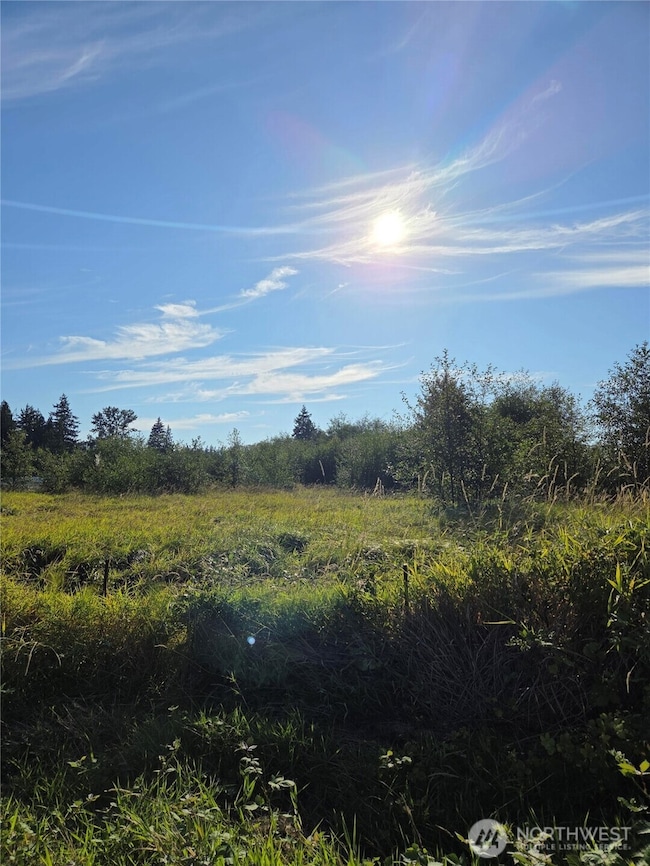 8055 Blaine Rd, Blaine, WA 98230 - photo 7