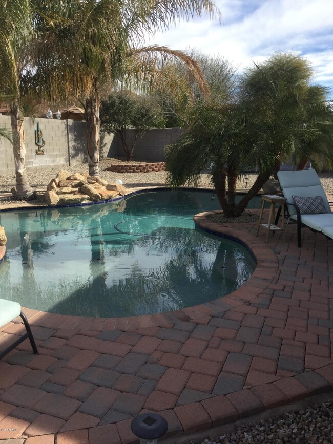 Back Yard2