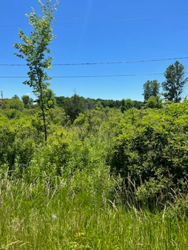 0 E Wilson Rd unit 50086153, Thetford Township, MI 48420 - photo 2