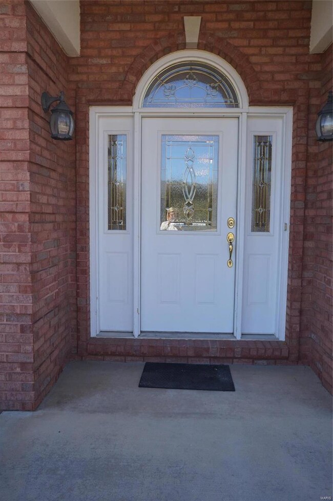 3731 Sugar Lake Dr, Freeburg, IL 62243 - photo 6