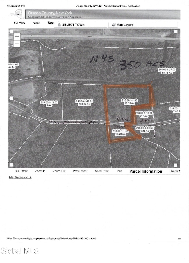 L1.00 Hollenbeck Rd, Worcester, NY 12197 - photo 6