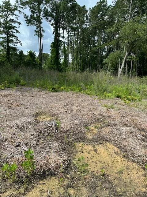 0 Sinclair Rd unit 217915, Summerville, SC 29483 - photo 2