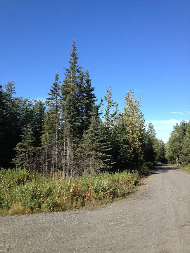 06 - Loveall Loop