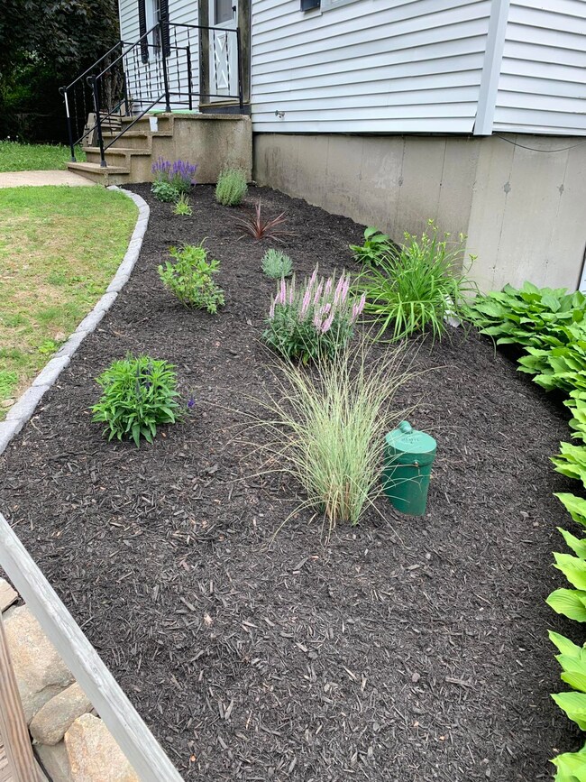 Front walkway