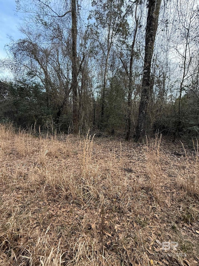 0 Harmon Williams Rd unit 374119, Mobile, AL 36608 - photo 3