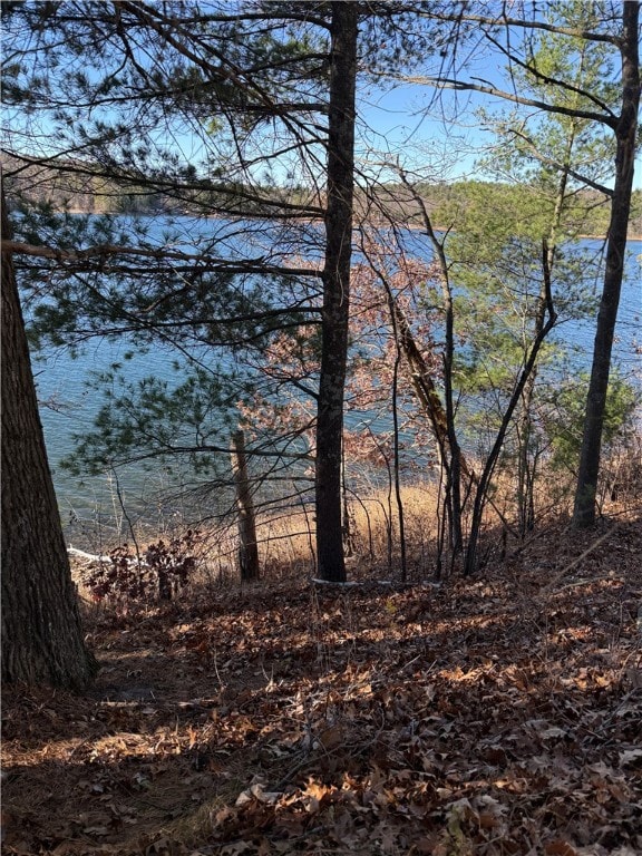 Lot 1 Hwy 70, Stone Lake Township, WI 54876 - photo 6