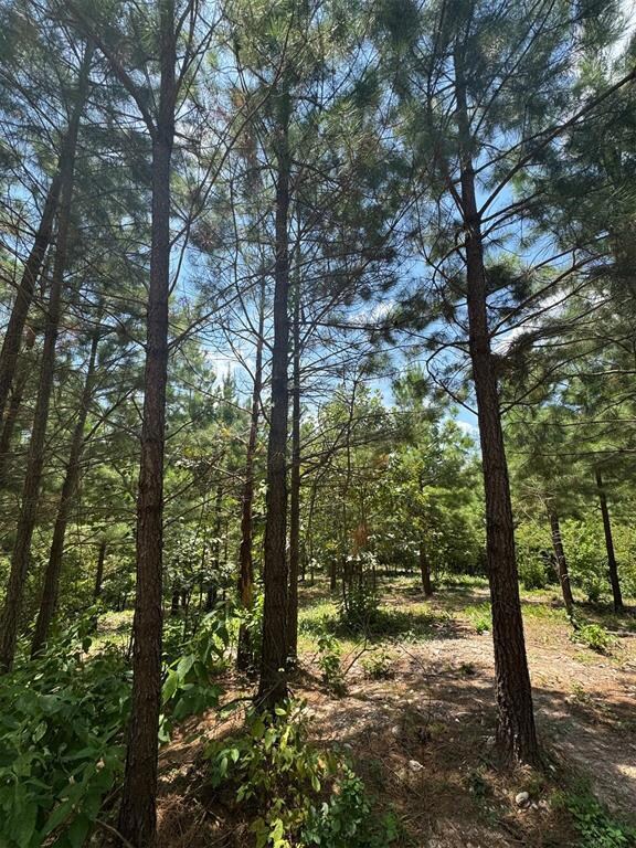 155 Charmed Ridge Ln, Hochatown, OK 74728 - photo 3