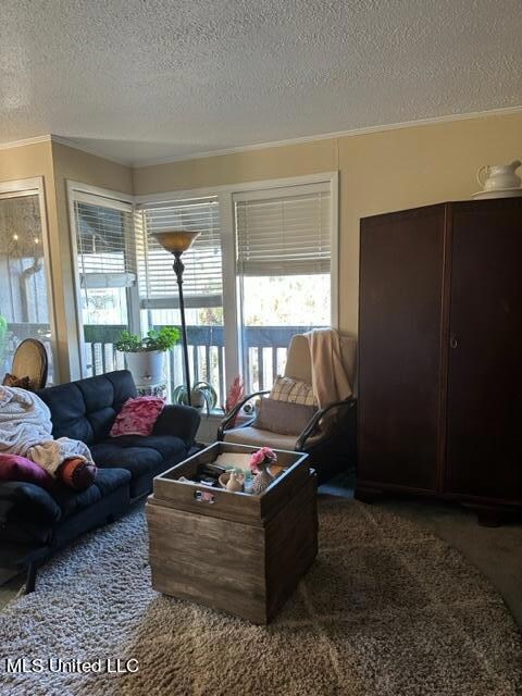 Lanai 13