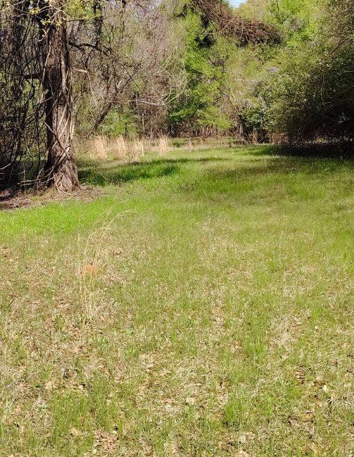 1799 Mitchell Creek Rd, Wetumpka, AL 36093 - photo 5