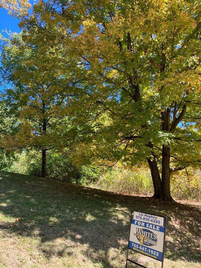 131 W Neff St, Laurel, IN 47024 - photo 5