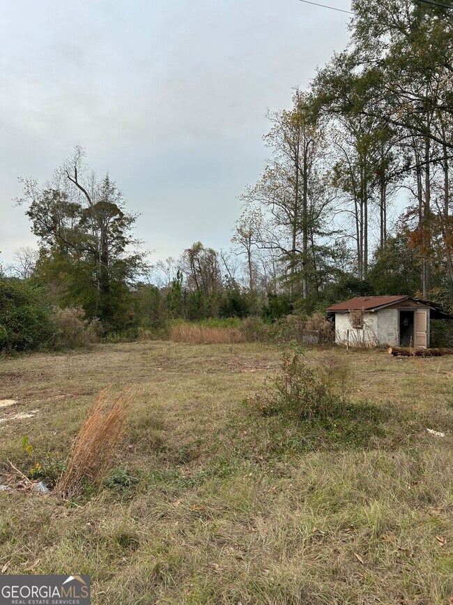 0 Center Ave, McRae, GA 31055 - photo 2
