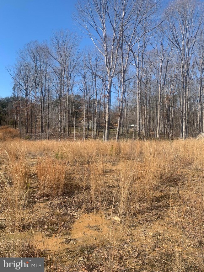 Lot C1 Cox Mill Rd, Orange, VA 22960 - photo 6