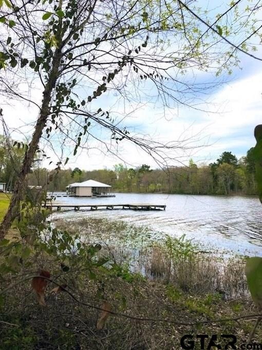 16239 County Road 285, Tyler, TX 75707 - photo 2