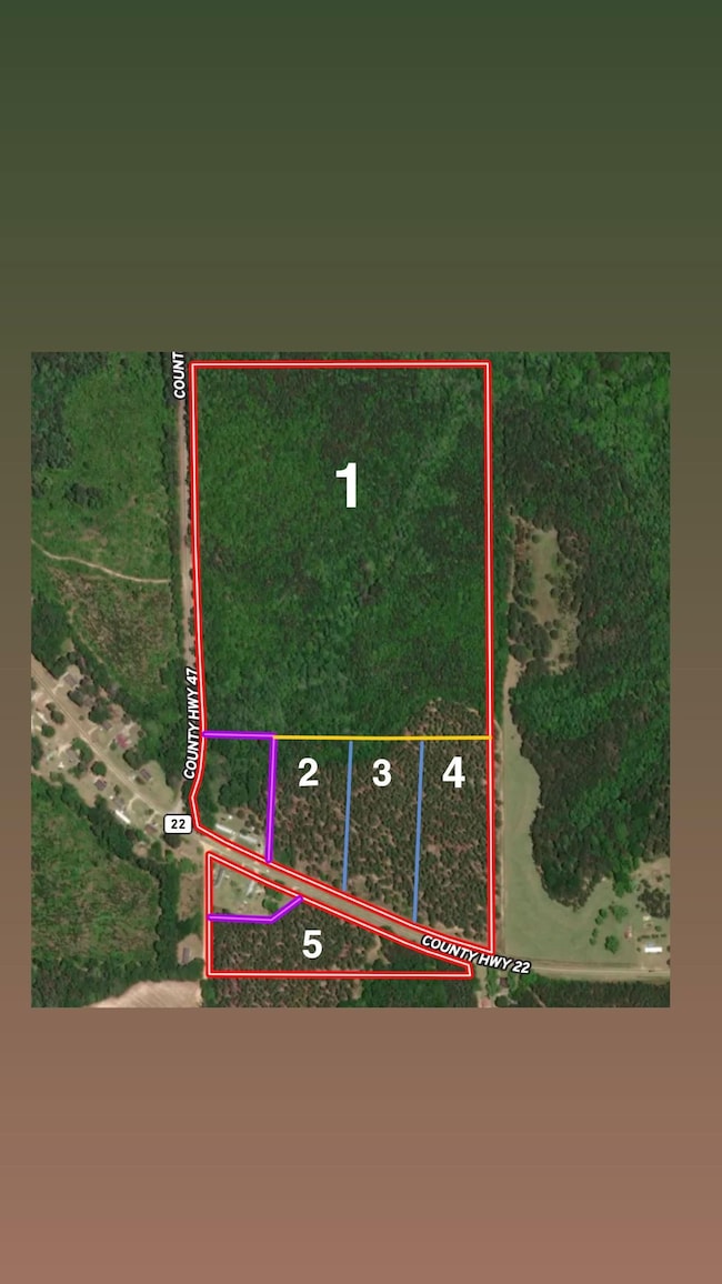 County Rd 1143, Troy, AL 36079 - photo 7