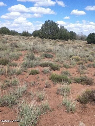 31 Acres