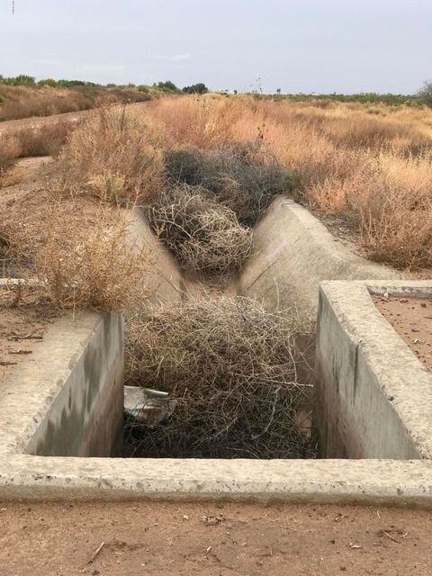 0000 W Hannah & Tweedy Dr, Eloy, AZ 85131 - photo 4