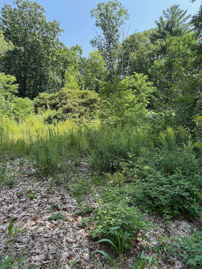 2 Shore Dr, Goffstown, NH 03045 - photo 7