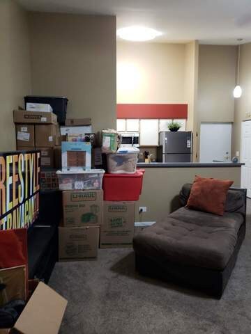 766 N Gary Ave unit 208, Carol Stream, IL 60188 - photo 2