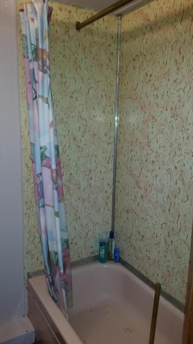 8634 Virginia Blvd, Baldwin, MI 49304 - photo 7