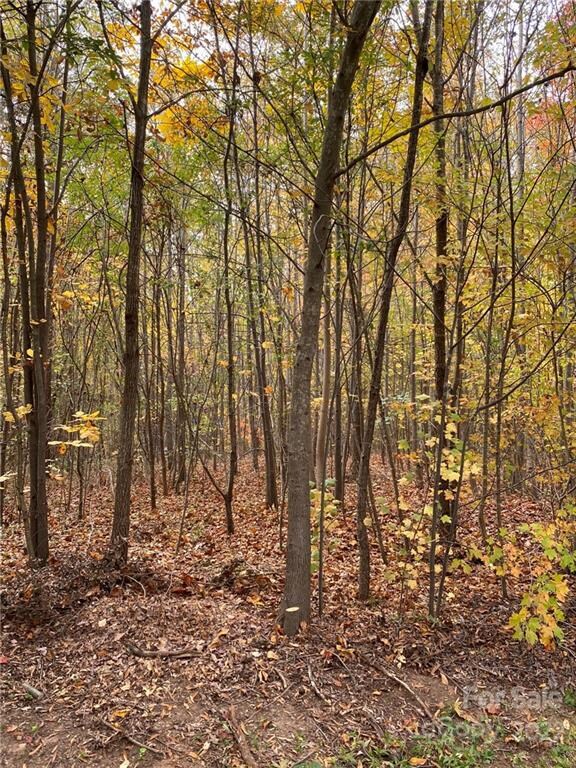 127 Trillium Dr unit 31, Statesville, NC 28625 - photo 7