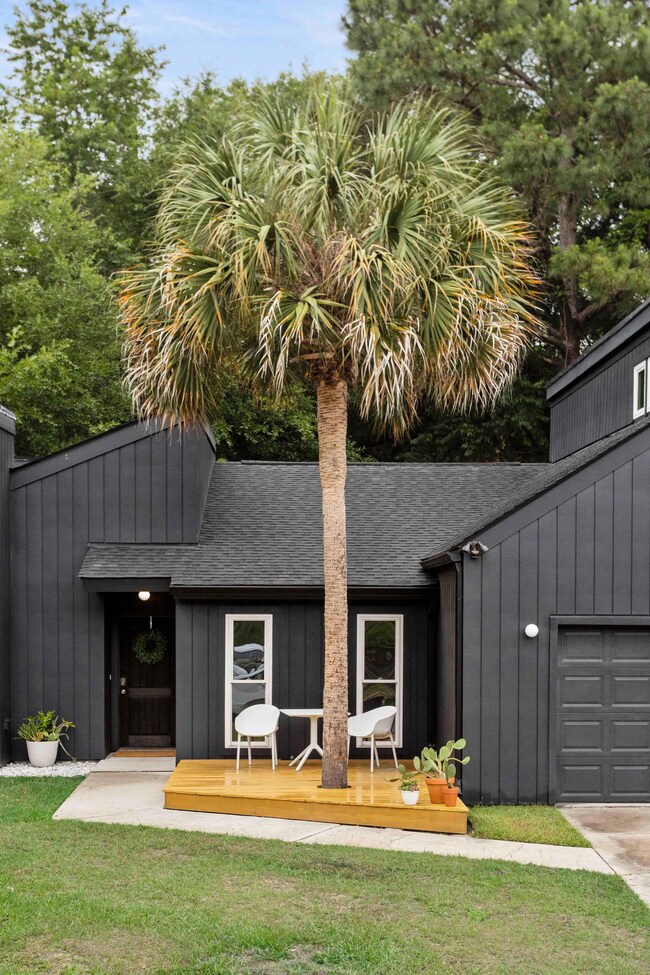 Palm Tree