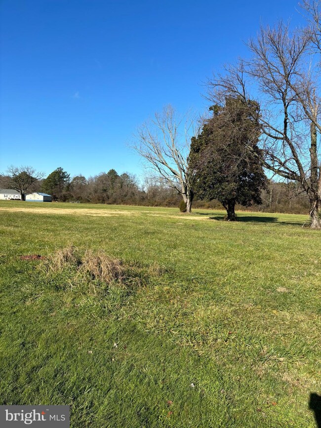 4876 Old Trappe Rd, Trappe, MD 21673 - photo 5