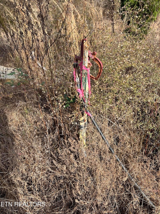 3203 Armstrong Ferry Rd, Decatur, TN 37322 - photo 3