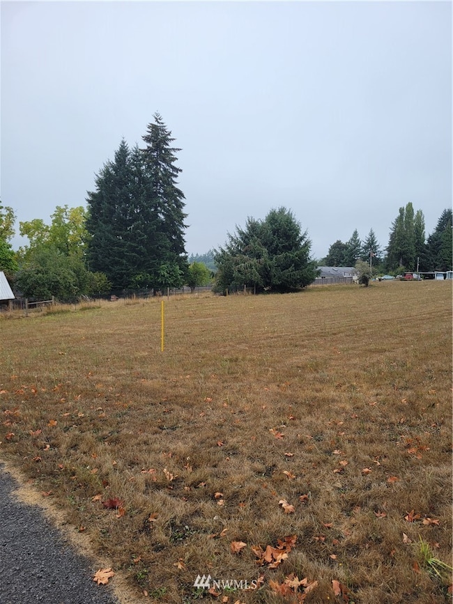 0 NE 2nd St unit 1843642, Winlock, WA 98596 - photo 3