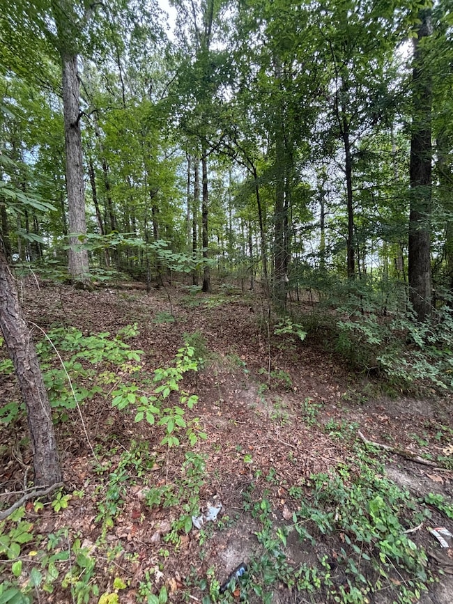 0 Tracie Rd, Gore Springs, MS 38929 - photo 2