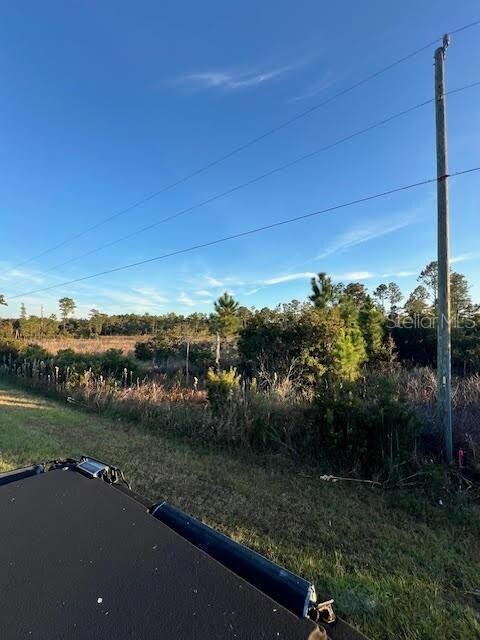 0 Seagrape Ave unit MFRA4672088, Eustis, FL 32736 - photo 4