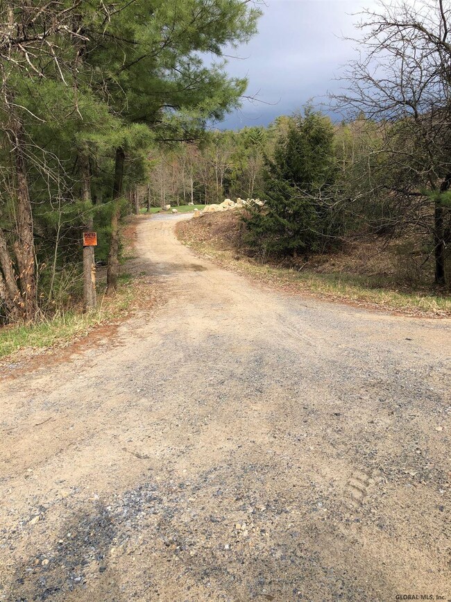 0 Hunt Lake Rd N unit 202116753, Hadley, NY 12835 - photo 5