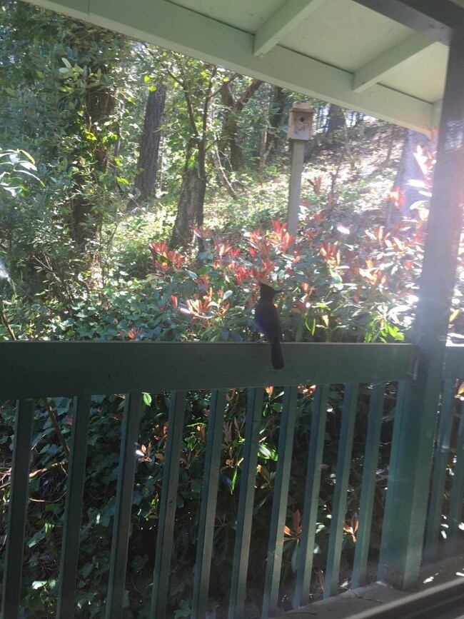 Resized-IMG-2161