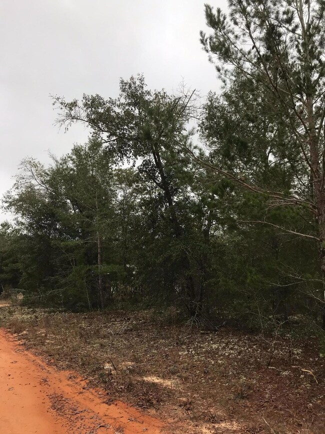 juniper 13b