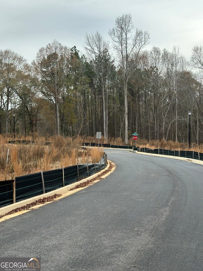 120 Edmondson Way, Stockbridge, GA 30214 - photo 6