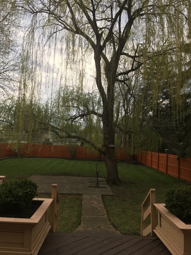 1665 Wicke Ave, Des Plaines, IL 60018 - photo 3