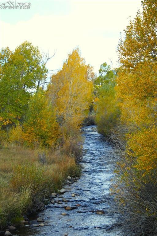 38938 Nf-250, Antonito, CO 81120 - photo 4