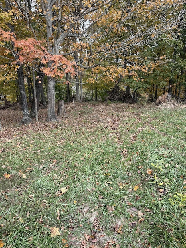 Pine Grove Ch Rd, Vanceburg, KY 41179 - photo 3