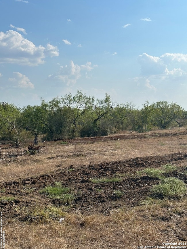 5894 Fm 1107 Unit A-Tract 2, Stockdale, TX 78160 - photo 4